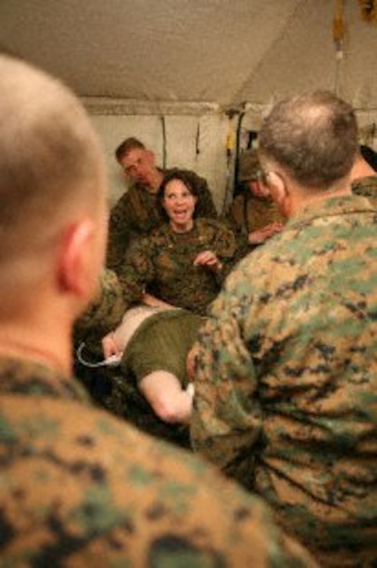 Lieutenant Commander Tera E. Van Drunen, emergency room physician with Charlie Surgical Company, 1st Medical Battalion, Combat Logistics Regiment 15, 1st Marine Logistics Group, gives a class on the proper way to use an ultrasound Feb. 25, during a Medical Augmentation Training Exercise (MATEX).