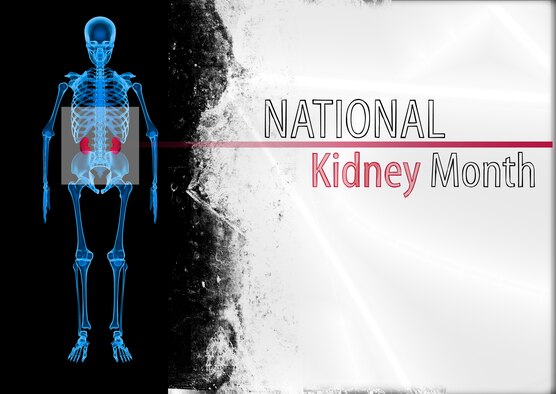 March is National Kidney Month and the professionals from the 55th Medical Group encourage everyone to take care of their kidneys. The kidneys perform numerous functions within the body including balancing bodily fluids, removing waste products  and controling blood pressure. U.S. Air Force graphic by Josh Plueger