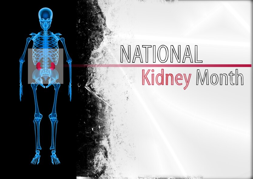 March is National Kidney Month and the professionals from the 55th Medical Group encourage everyone to take care of their kidneys. The kidneys perform numerous functions within the body including balancing bodily fluids, removing waste products  and controling blood pressure. U.S. Air Force graphic by Josh Plueger