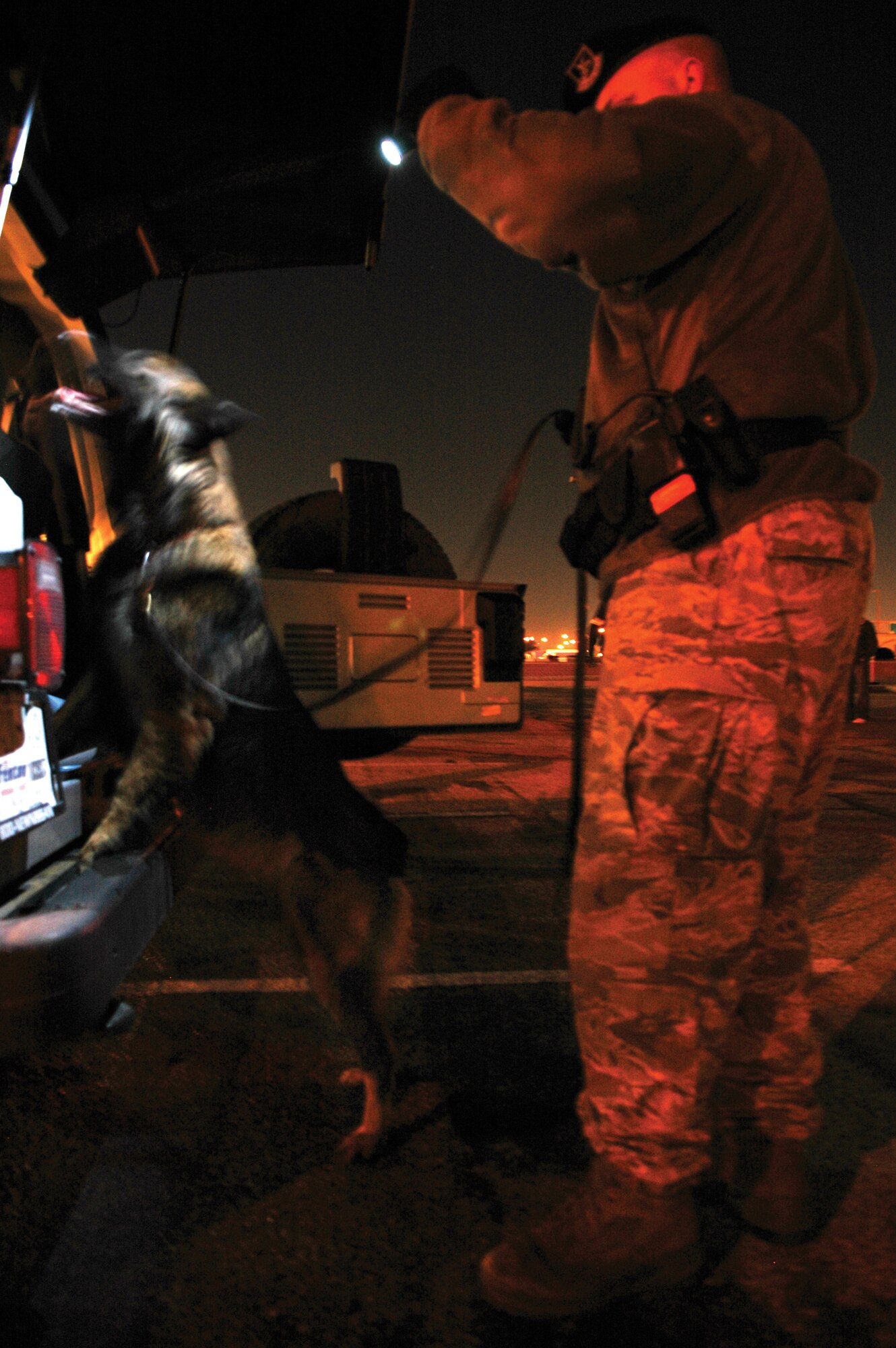 In the wee hours of the morning Saturday, Cita, a three-year-old military working dog, searches the back of a vehicle during Operation Nighthawk, a random vehicle and drug screening event. Cita and her handler, Tech. Sgt. John Ater, 72nd Security Forces Squadron, searched more than 30 vehicles during the operation. (Air Force photo by Micah Garbarino)