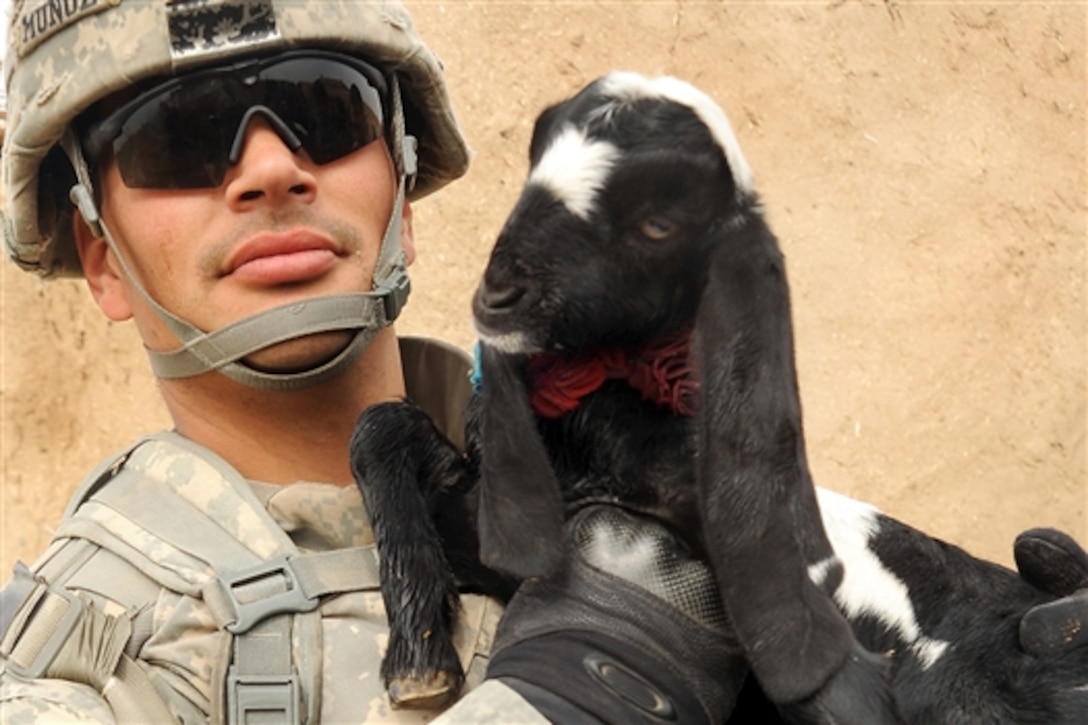 U.S. Army Sgt. Carl Munoz holds a goat in Gavband village in Afghanistan's Helmand province, Feb. 27, 2010. Afghan police officers and U.S. soldiers are conducting security operations along Highway 601 to support Operation 601 Cougar. Munoz is assigned to Company A, 4th Battalion, 23rd Infantry Regiment, 