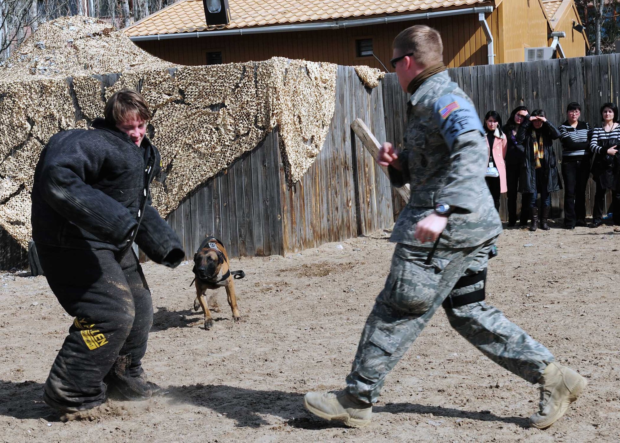 Vvictor, a military working dog deployed to the 376th Expeditionary Security Forces Squadron, runs to bite a decoy during a tour of the Transit Center at Manas, Kyrgyzstan, March 6, 2010. The Kyrgyz Law Academy sent several of their female students to the installation, where many female Airmen briefed them on the operations here. This was planned in honor of Women’s Day, a national Kyrgyz holiday. (U.S. Air Force photo/Staff Sgt. Carolyn Viss/released)