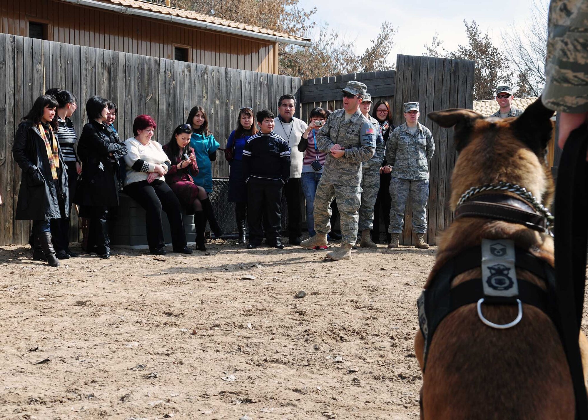Vvictor, a military working dog deployed to the 376th Expeditionary Security Forces Squadron, waits to demonstrate his ability to stop a decoy during a tour of the Transit Center at Manas, Kyrgyzstan, March 6, 2010. The Kyrgyz Law Academy sent several of their female students to the installation, where many female Airmen briefed them on the operations here. This was planned in honor of Women’s Day, a national Kyrgyz holiday, which occurs March 8. (U.S. Air Force photo/Staff Sgt. Carolyn Viss/released)