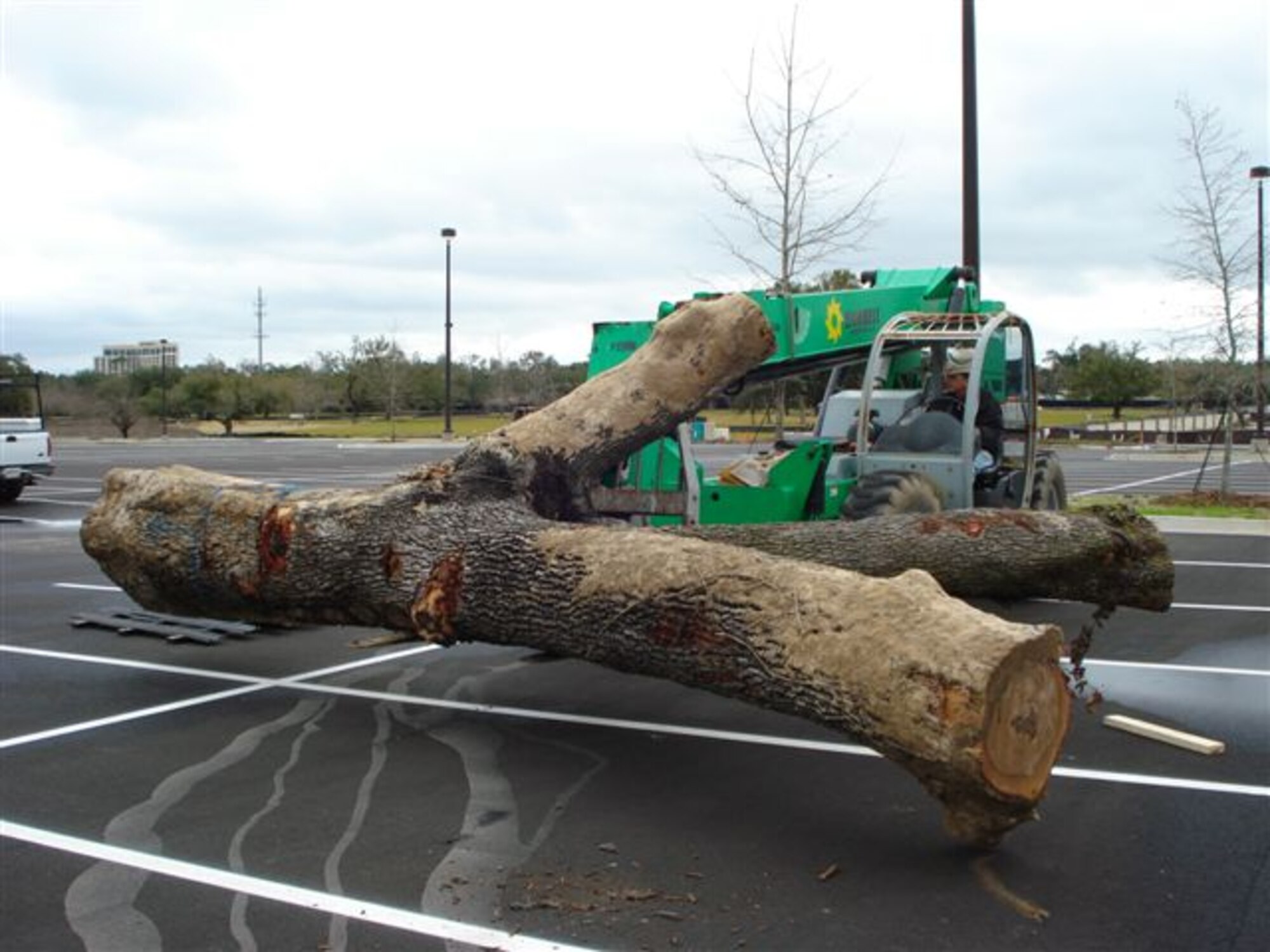 Artist Marlin Miller, who was stationed at Keesler in 1982, created an eagle carving last weekend in front of the new base exchange.  He returns around lunch time today to put the finishing touches on his work.  He’s created more than 20 of the carvings from trees battered by Hurricane Katrina.  Photos show a tree toppled at the Mississippi Coast Coliseum being transported to the site, workers anchoring the trunk and the carving.  (Courtesy photo)