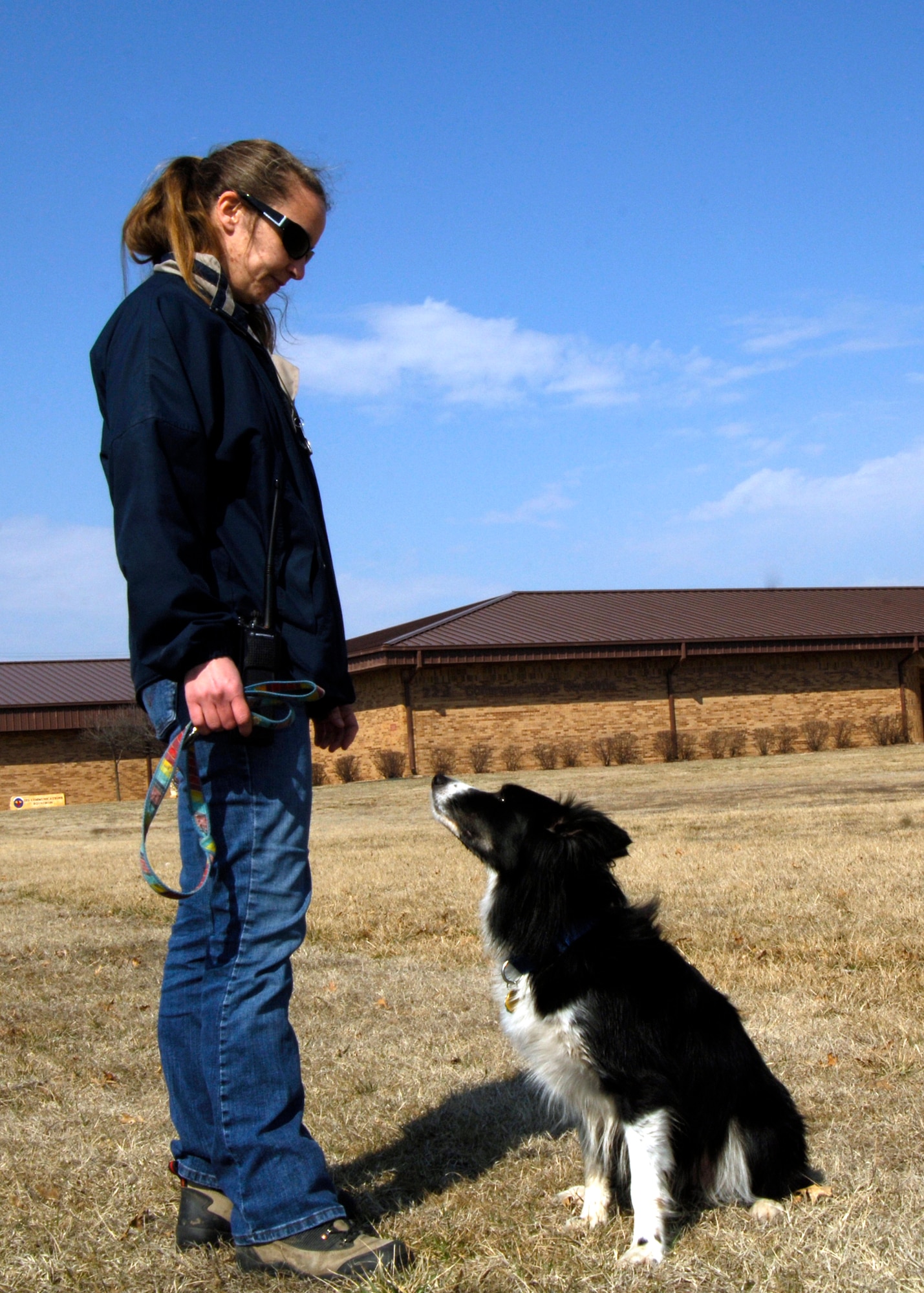 Lauren Caister, 22nd Air Refueling Wing base wildlife manager and animal behavior expert, trains with Vasi, a border collie for the Bird Aircraft Strike Hazard March 5, 2010, at McConnell Air Force Base, Kan. Using the dog is one of the most cost effective methods for the BASH program, and has helped reduce about 30 percent of the damage caused by bird strikes with McConnell aircraft.. (U.S. Air Force photo/ Airman 1st Class Andrea Salazar)