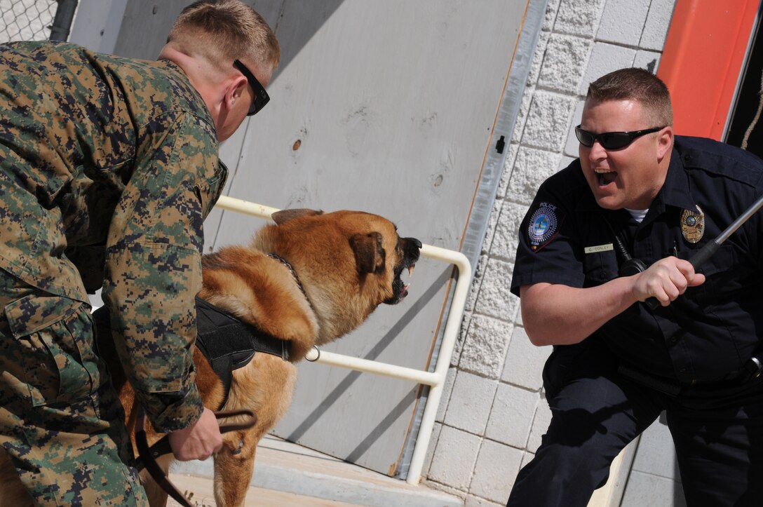 Lance Cpl. Dustin Campbell, provost marshal’s office military dog handler, holds back Rex, a military working dog, from Chad Conley, Cocopah Police Department dog handler, during an aggressor demonstration at a training warehouse off Avenue B in Yuma, Ariz., March 11, 2010. The police department has been training its dogs and strengthening their capabilities by working with the Marines for the past five months. “We’re glad to have these resources to tap into,” said Chad Conley, CPD dog handler. “The Marine base has been an irreplaceable asset to our program.” Normally, the CPD take their dogs to the station to train. Using the warehouse was meant to adapt the dogs to strange settings and keep training from becoming stagnant. During training, the dogs sniffed out and located objects carrying the scent of substances such as marijuana and heroin, and also practiced subduing aggressors, who wore thick bite-resistant suits.
