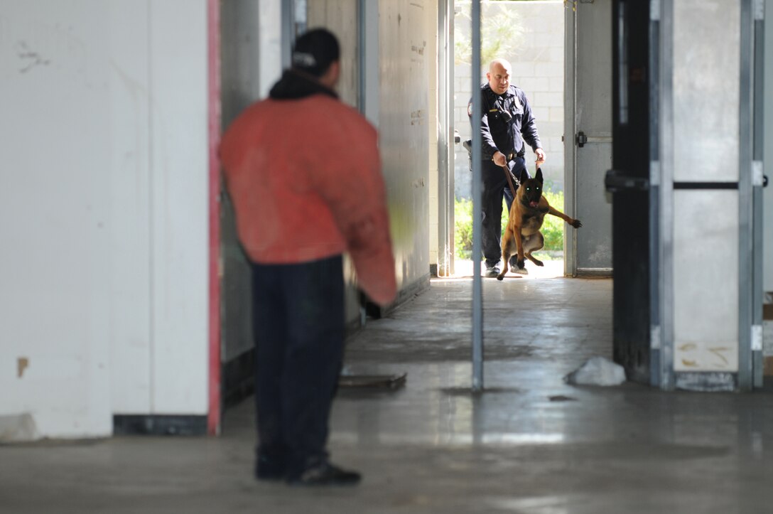 Ricardo Corral, Cocopah Police Department policeman, waits for Omar Villacorta, CPD policeman, to release his dog Cisco for a suspect submission demonstration at a warehouse off Avenue B in Yuma, Ariz., March 11, 2010. The police department has been training its dogs and strengthening their capabilities by working with the Marines for the past five months. “We’re glad to have these resources to tap into,” said Chad Conley, CPD dog handler. “The Marine base has been an irreplaceable asset to our program.” Normally, the CPD take their dogs to the station to train. Using the warehouse was meant to adapt the dogs to strange settings and keep training from becoming stagnant. During training, the dogs sniffed out and located objects carrying the scent of substances such as marijuana and heroin, and also practiced subduing aggressors, who wore thick bite-resistant suits.