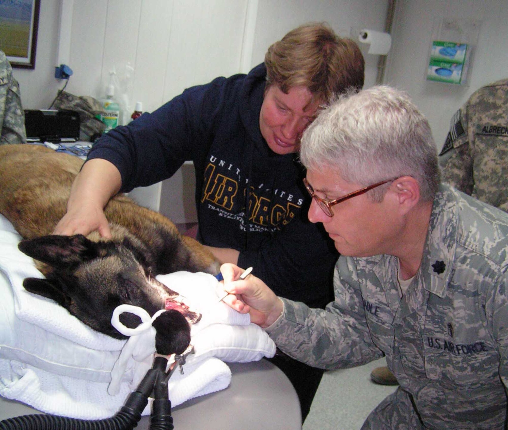 Dr. (Lt. Col.) Robert Beadle, 376th Expeditionary Medical Group dentist, and Natalia, the Kyrgyz Army veterinarian, begin to work on a K9 root canal for a Kyrgyz military working dog March 3, 2010, at the Transit Center at Manas clinic, Kyrgyzstan. (Courtesy photo)