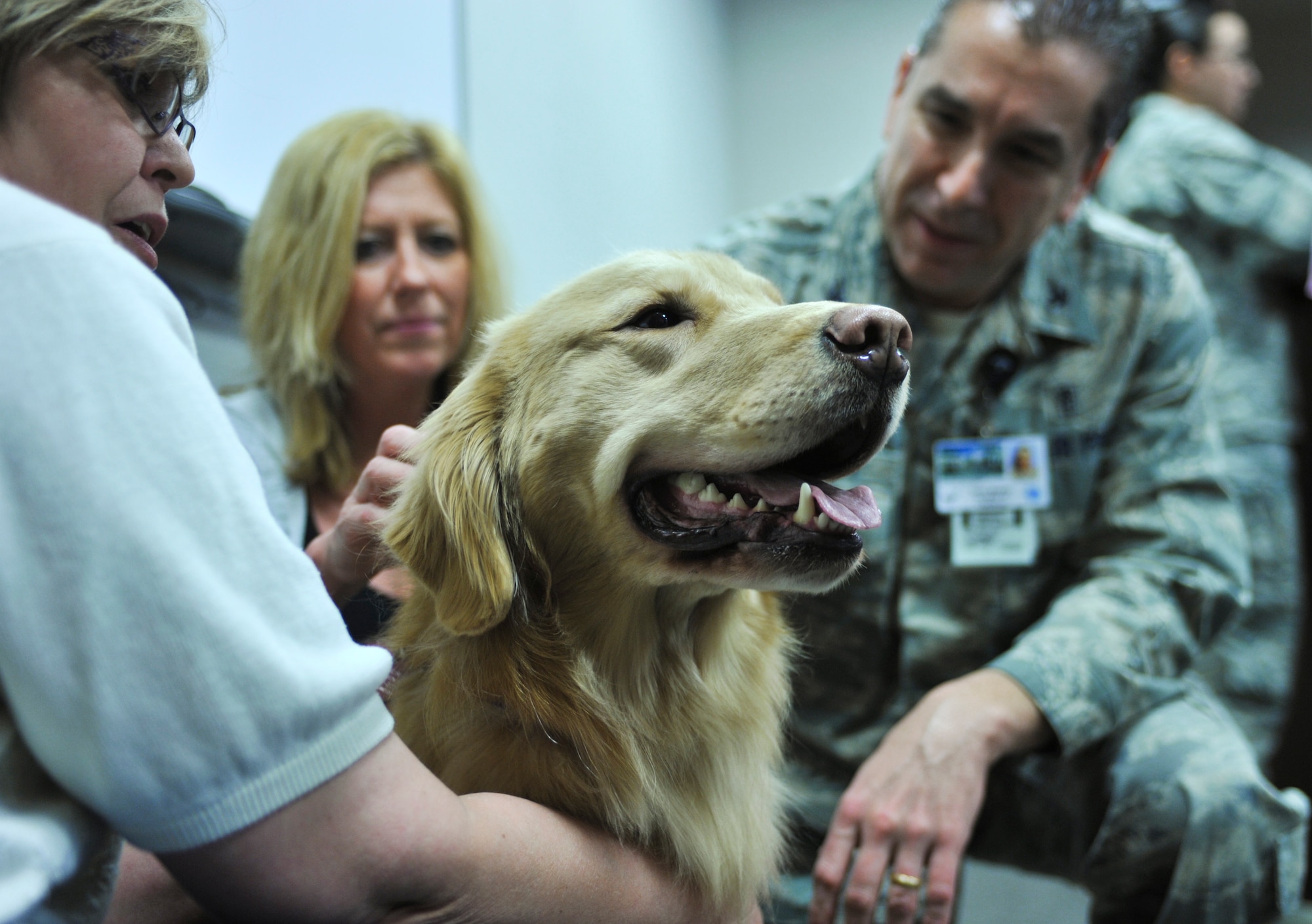 ELMENDORF AIR FORCE BASE, Alaska -- Col. (Dr.) Kevin Blakley and his wife, Tammy, introduce themselves to Wager, a 2-year-old golden retriever, during the animal-assisted therapy conference at the Elmendorf's hospital March 12. Wager is pet partner team member who will be working with the 3rd Medical Group physicians to help patients with their medical recovery. Blakley is the 3rd Medical Operations Squadron commander. (U.S. Air Force photo/Senior Airman David Carbajal)