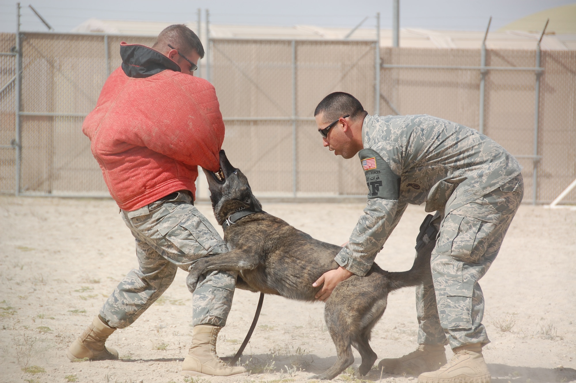 U.S. Air Force Staff Sgt. Steven Rosario, 386th Expeditionary Security Forces Squadron military working dog handler, encourages his K-9 partner Tay, as he stops a disobedient assailant during a demonstration for local Boy Scouts and Cub Scouts March 13, 2010 as part of the Scouts' tour of an air base in Southwest Asia. (U.S. Air Force photo by Staff Sgt. Lindsey Maurice/Released)