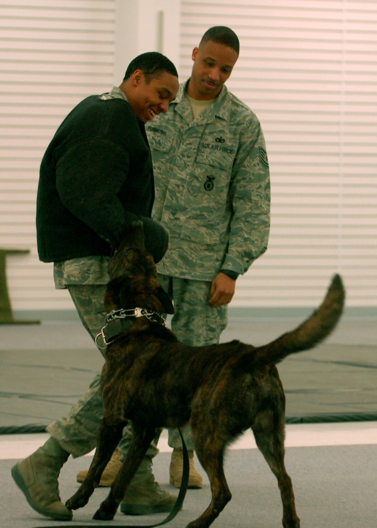 MINOT AIR FORCE BASE, N.D. -- Airman 1st Class Aaron-Forest Wainwright, 5th Bomb Wing public affairs photographer, participates in the training of Lareco, a military working dog at Minot Air Force base Feb. 10. Tech. Sgt. Robert Furbush, 5th Security Forces Squadron military working dogs kennel master, oversees the training to ensure no injuries occur. (U.S. Air Force photo by Airman 1st Class Ashley N. Avecilla)