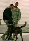 MINOT AIR FORCE BASE, N.D. -- Airman 1st Class Aaron-Forest Wainwright, 5th Bomb Wing public affairs photographer, participates in the training of Lareco, a military working dog at Minot Air Force base Feb. 10. Tech. Sgt. Robert Furbush, 5th Security Forces Squadron military working dogs kennel master, oversees the training to ensure no injuries occur. (U.S. Air Force photo by Airman 1st Class Ashley N. Avecilla)