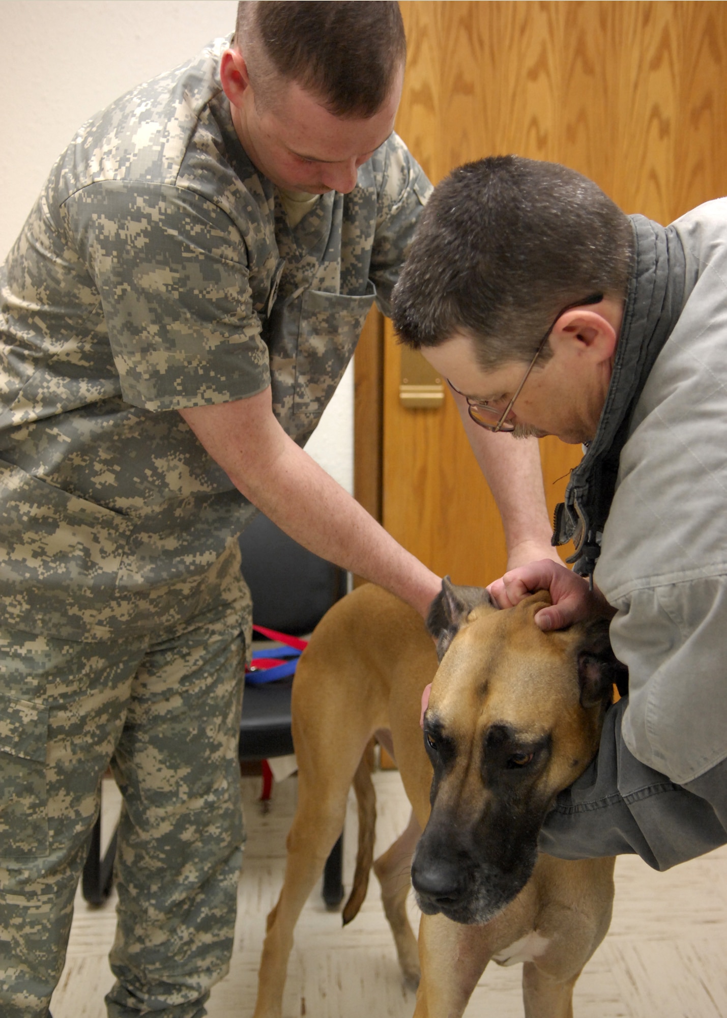 MINOT AIR FORCE BASE, N.D. -- Brutis, pet of Brett Grantman spouse of Master Sgt. Loretta Grantman, receives a vaccination at the Minot Air Force base veterinary clinic Feb. 11. Although one of the clinics primary missions is to oversee the health of the military working dogs, the clinic also cares for the pets of Team Minot. (U.S. Air Force photo by Airman 1st Class Ashley N. Avecilla)