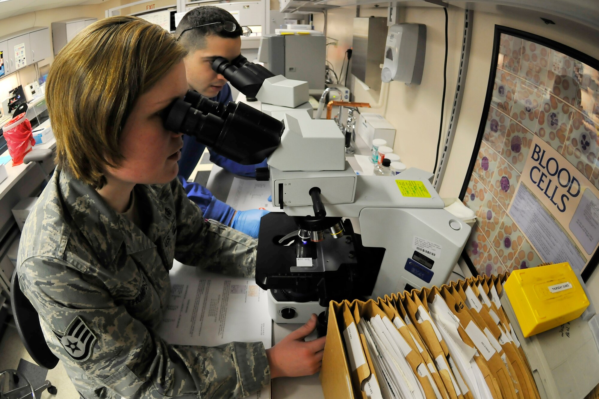Staff Sgt. Toni Thompson and Senior Airman Michael Urena use a microscope to inspect blood cells for color and shape in the 354th Medical Group laboratory Mar. 11, 2010, Eielson Air Force Base, Alaska. Sergeant Thompson and Airman Urena are assigned to the 354th MDG. (U.S. Air Force photo/Staff Sgt. Christopher Boitz)
