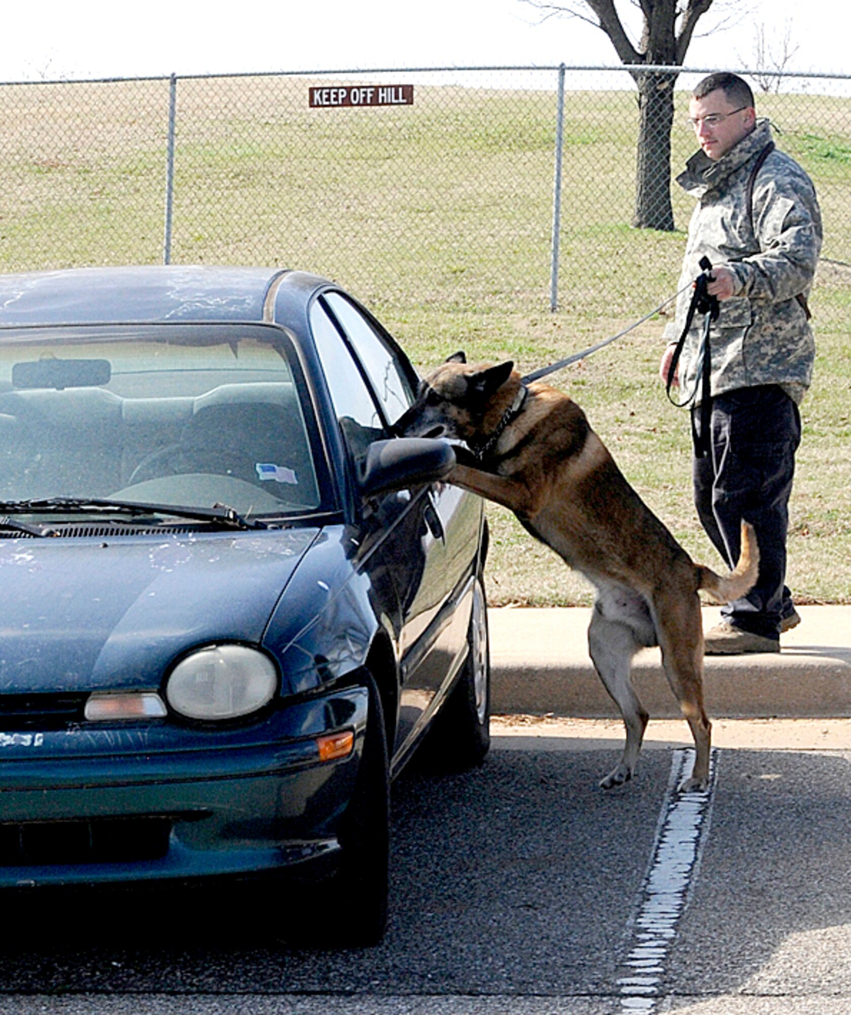 how does a police dog alert