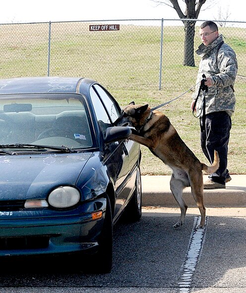 Military-working dog handler Staff Sgt. Shawn Brundzo, 71st Security Forces Squadron, and his dog, Roy, work on vehicle searching techniques during the 2010 Spring Canine Training Seminar hosted by the 71st SFS and the Garfield County Sheriff’s Department. (U.S. Air Force photo/ Angie Roche)