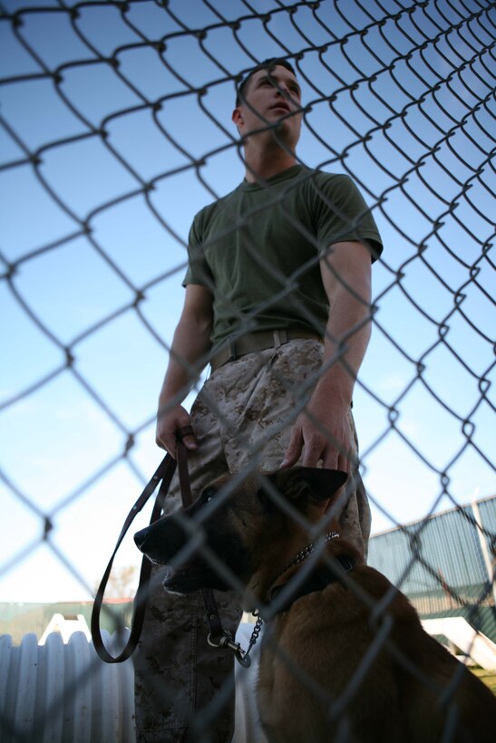Lance Cpl. Brandon St. George, a military working dog handler with Marine Corps Air Station Miramar's Provost Marshal's Offices, works with his dog, Astor, at the dog obstacle course here March 16.