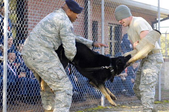U.S. Air Force Staff Sgt. Ramon Alexander, Staff Sgt. Brandon Serena and military working dog, Waldo, perform a working dog demonstration for a group of cadets from the Royal Canadian Air Force on Joint Base Charleston, S.C., March 16. The demonstration consisted of numerous scenarios, all of which ended with Waldo's teeth locking onto Sergeant Serena's protected arm. Throughout their one-day tour of Joint Base Charleston, the cadets toured multiple squadrons and a static C-17. Sergeant Serena is a military working dog handler with the 628th Security Forces Squadron. (U.S. Air Force photo/Airman 1st Class Lauren Main)