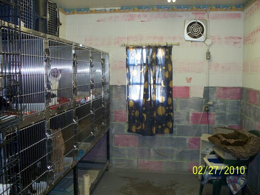 ALTUS AIR FORCE BASE, Okla. –Altus Animal Aid Society underwent some renovations organized by Mr. Jeffery Beglin, Medical Logistics Flight, 27-28 Feb. The Shelter is in need of continuous remodeling also it accepts and needs donations. For more information please contact Mr. Beglin at 481-6109 you can also contact the shelter for volunteer opportunities. (U.S. Air Force Photo/courtesy of Jeffery Beglin) 