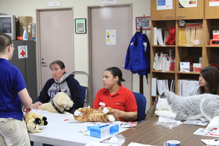Army Sgt. April Johnson, animal care noncommisioned officer here, and Mary Gaddis, class participant,  administer first aid to simulated injured pets during the first American Red cross dog and cat first aid course here March 30. The petcare courses are one of many activities the veteniarian clinic provides to pet owners stationed here.