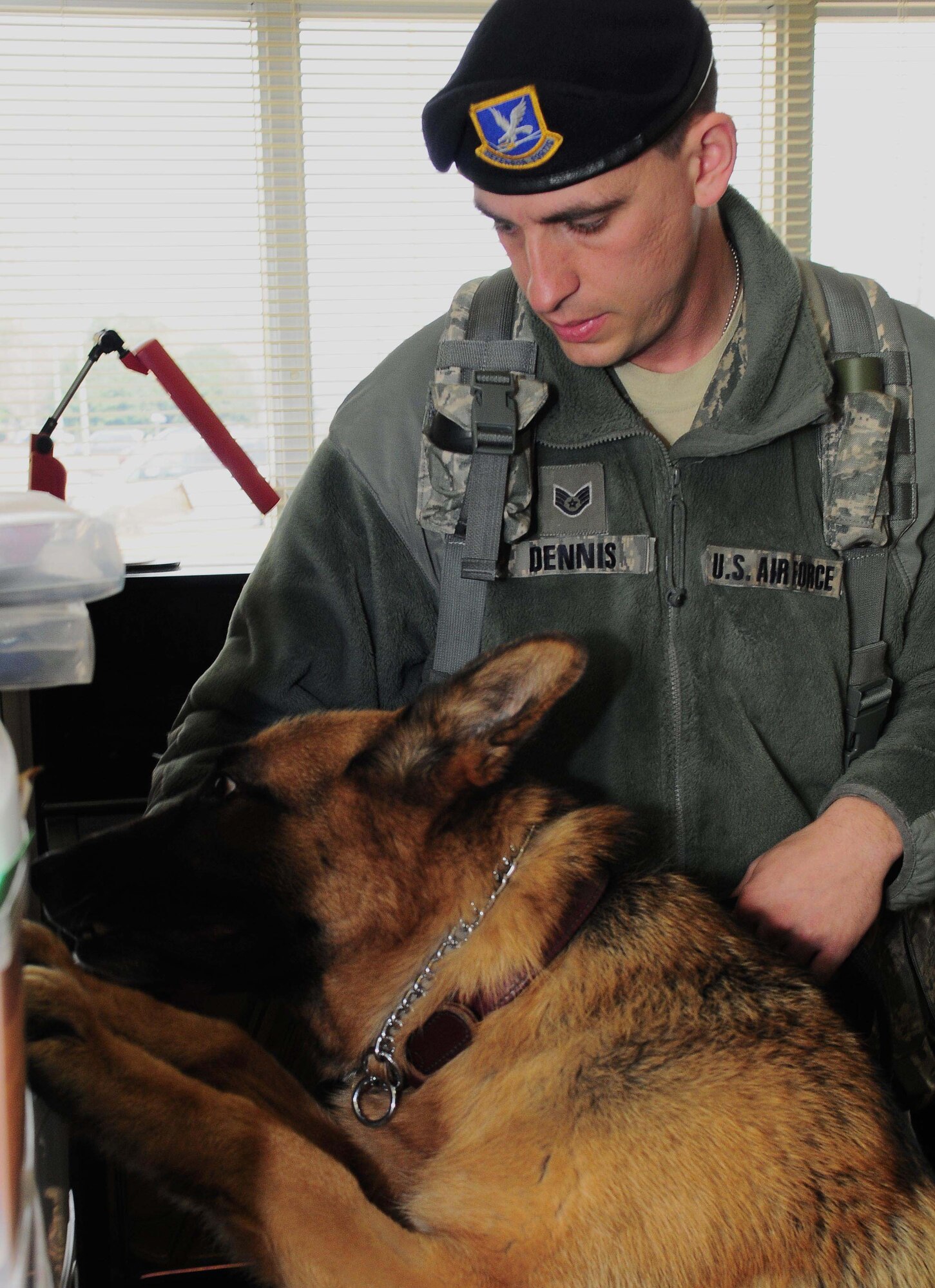 YOKOTA AIR BASE, Japan -- Staff Sgt. Arthur Dennis, 374th Security Forces Squadron K-9 handler, motions for working dog Fedor to search for drugs during proficiency training March 23. SFS working dogs are routinely trained to perfect the skills essential to their mission. (U.S. Air Force photo/Airman 1st Class Lynsie Lorenz)