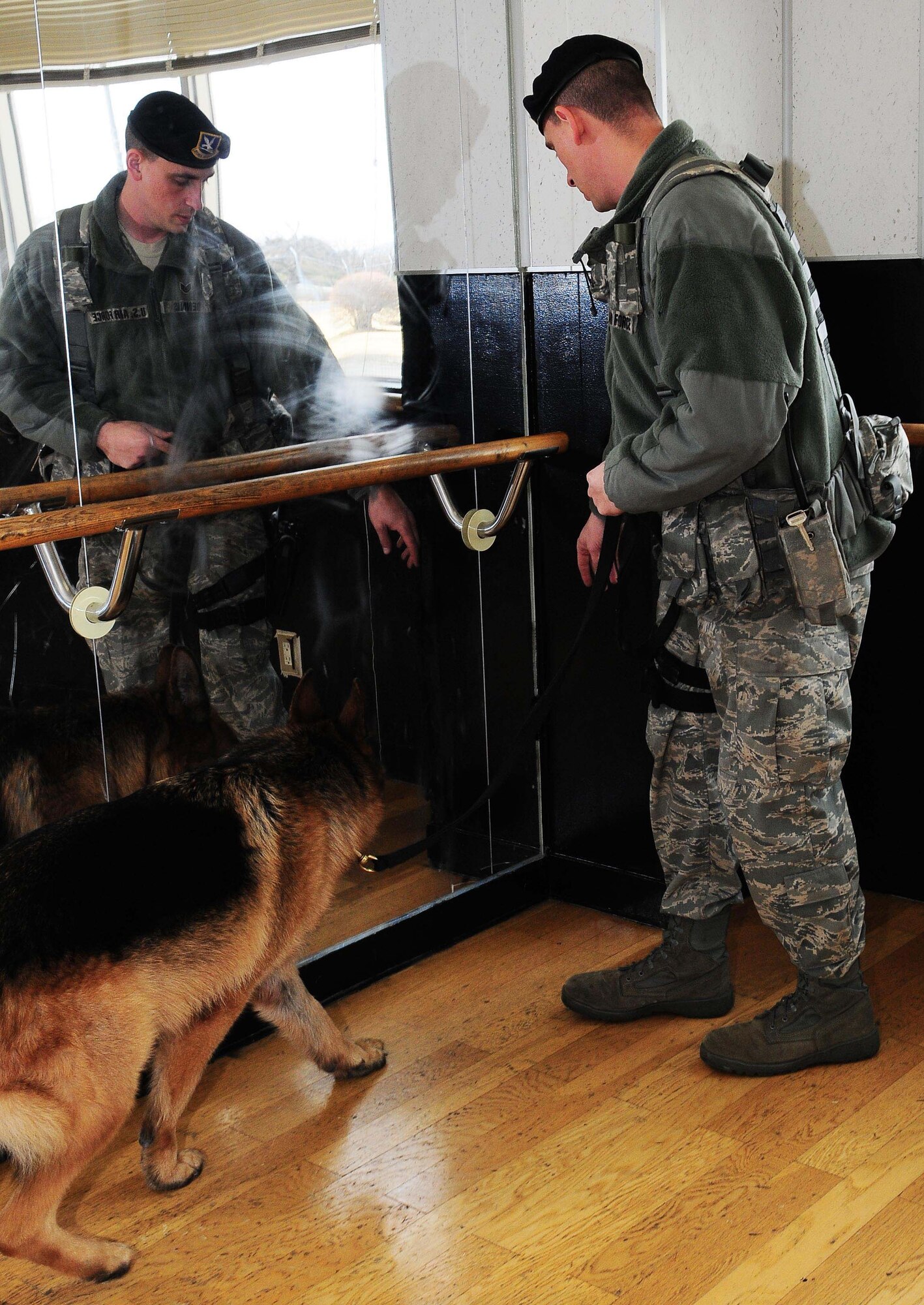 YOKOTA AIR BASE, Japan -- Staff Sgt. Arthur Dennis, 374th Security Forces Squadron K-9 handler, motions for working dog Fedor to search for drugs during proficiency training March 23. SFS working dogs are routinely trained to perfect the skills essential to their mission. (U.S. Air Force photo/Airman 1st Class Lynsie Lorenz)