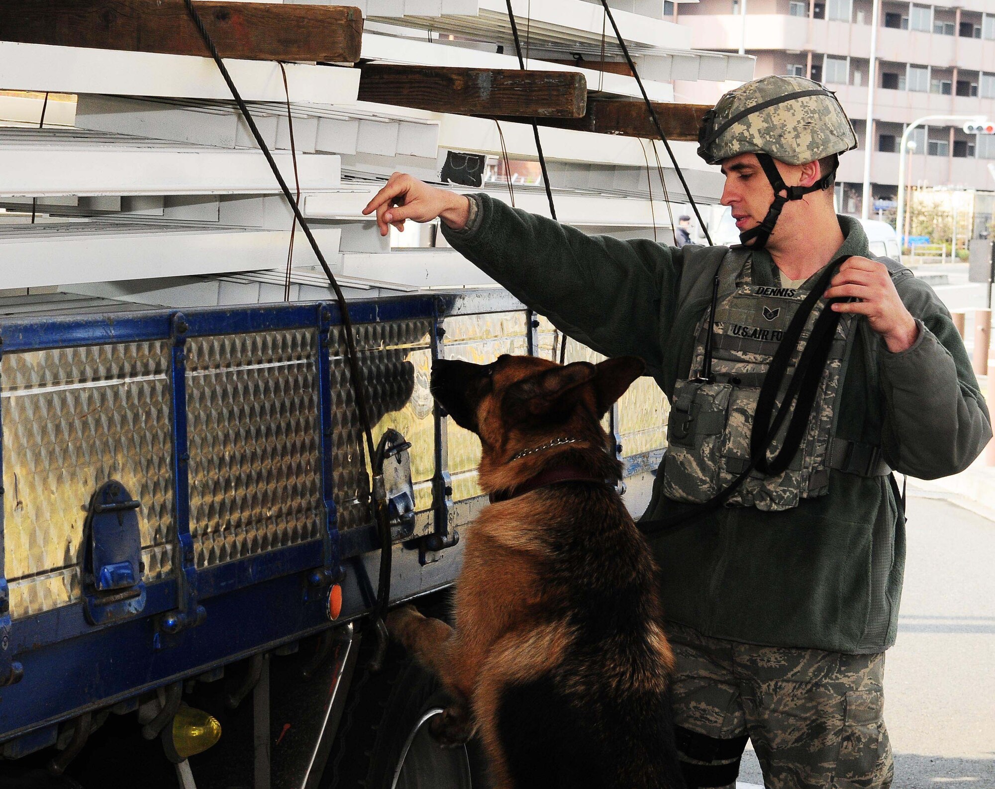 YOKOTA AIR BASE, Japan -- Staff Sgt. Arthur Dennis, 374th Security Forces Squadron K-9 handler, signal Fedor, a military working dog, to search a cargo truck March 23. Security Forces Airmen conduct routine checks on cargo vehicles for suspicious materials. (U.S. Air Force photo/Airman 1st Class Lynsie Lorenz)