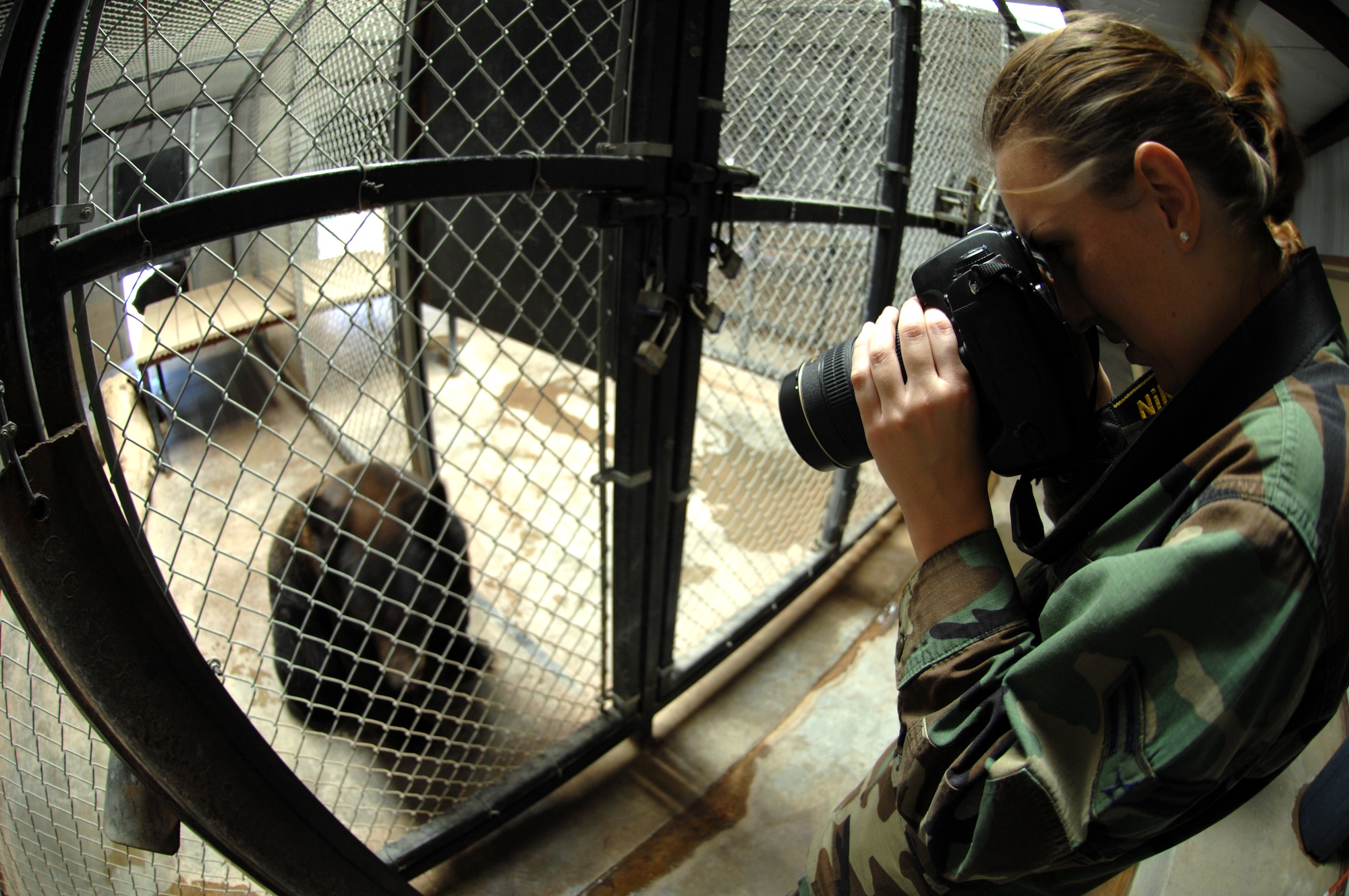 ALAMOGORDO, N.M. -- (Then) Airman 1st Class Rachel Kocin, 49th Fighter Wing Public Affairs photographer, takes a photo at the Alameda Zoo during photography training in 2008. Airman Kocin, now a senior airman, recently took 3rd place in the 2009 Air Combat Command Media Contest for the category pictorial photograph. (Courtesy photo)