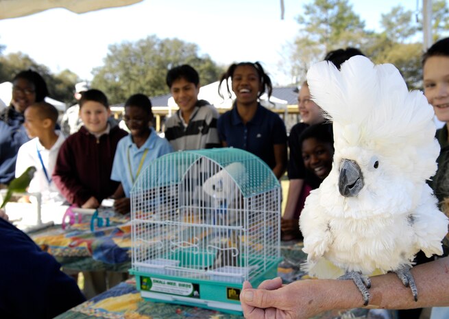 Paulie, a bird from the Exotic Bird Society, shows off her feathers at a booth during the 14th annual Earth Day festival held on Joint Base Charleston S.C., March 24, 2010. The event celebrates Earth day in conjunction with Arbor Day. Arbor Day was originally founded by J. Sterling Morton in 1872. By the 1920s each state in the United States had passed public laws that stipulated a certain day to be Arbor Day or Arbor and Bird Day observance. Approximately 700 fifth graders from eight different elementary schools were in attendance. (U.S. Air Force Photo/Airman 1st Class Lauren Main)
