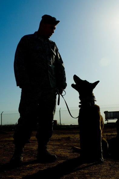 Staff Sgt. Kyle Alltop, 56th Security Forces military working dog handler, works obedience with Roc during his final run of the obstacle course at the Military Working Dog kennels, Luke Air Force Base, Ariz., March 25, 2010. Roc is due to be medically retired April 6, 2010 due to old age. (U.S. Air Force Photo by Staff Sgt. Jason Colbert)
