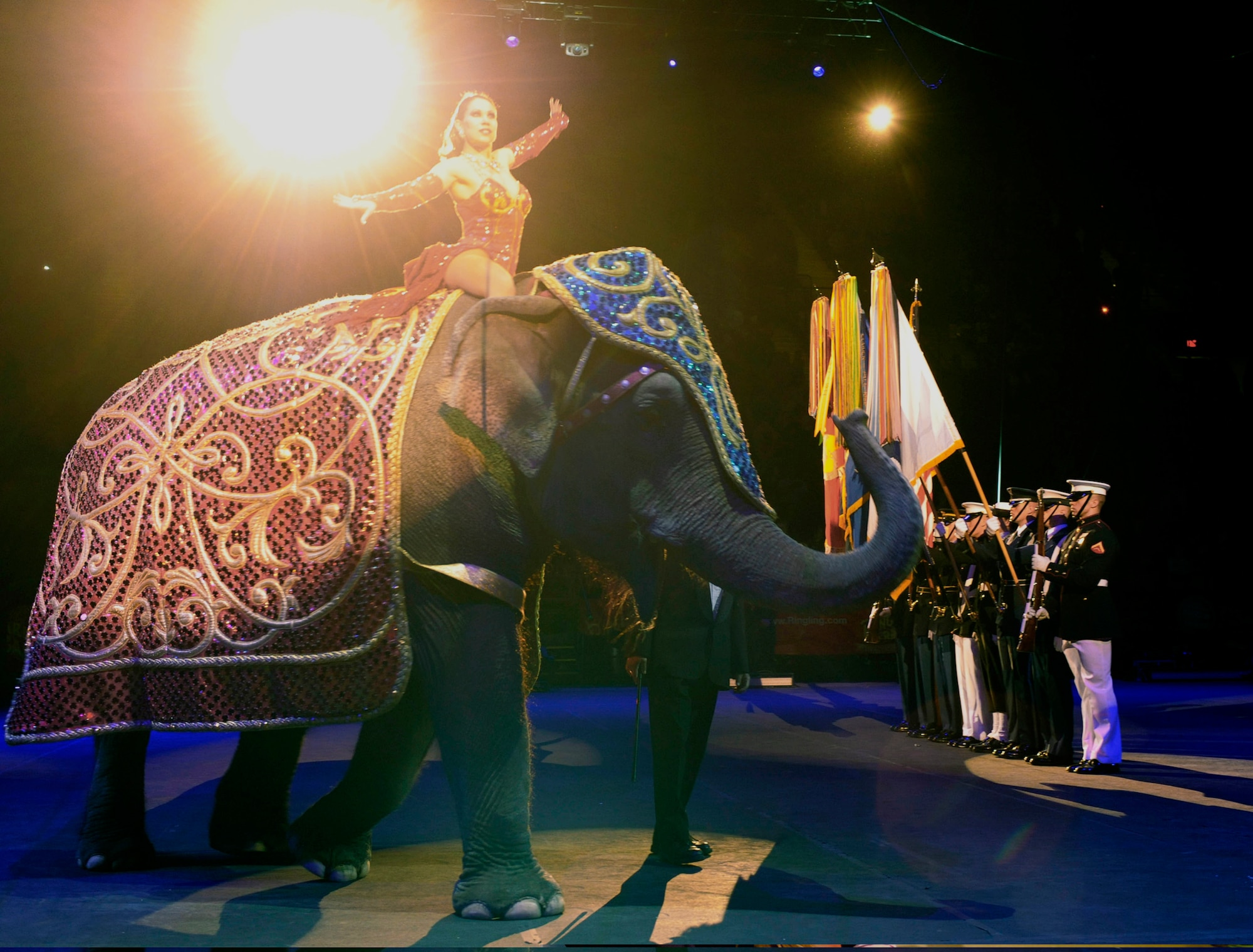 The Military District of Washington's Joint Color Guard present the flags as a two ton Asian elephant helps open the Ringling Bros. and Barnum & Bailey "Zing Zang Zoom" circus performance March 26, 2010, at George Mason University's Patriot Center in Fairfax, Va. This particular performance was in honor of military families worldwide.  (U.S. Air Force photo/Jim Varhegyi)