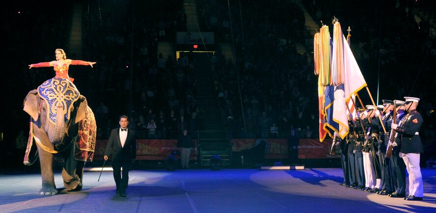 The Military District of Washington's Joint Color Guard present the flags as a two ton Asian Elephant opens the Ringling Bros. and Barnum & Bailey "Zing Zang Zoom" circus performance at George Mason University's Patriot Center March 26, 2010, Fairfax, Va. Air Force Master Sgt. Cameron Rogers and his family served as guest ringmasters for the performance. Sergeant Rogers recently returned from a year-long deployment to Afghanistan and currently is the Air Force District of Washington's UH-1N helicopter program manager at Bolling Air Force Base, Washington. The Rogers family was asked to serve as guest circus ringmasters representing military families worldwide in observance of Year of the Air Force Family. (U.S. Air Force photo/Jim Varhegyi)