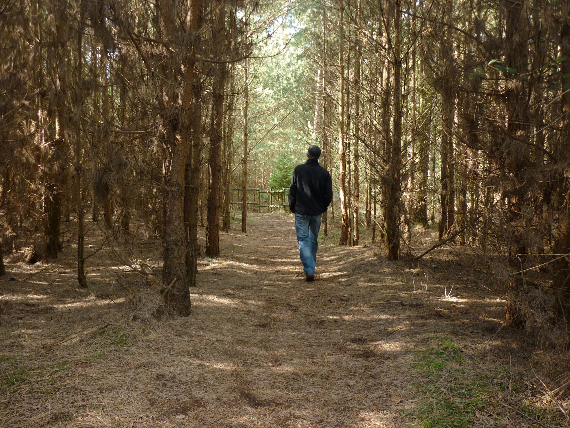 Bryan Murdie, husband of 2nd Lt. Ashley Skillman, 48th Fighter Wing Public Affairs, walks along one of Thetford Forest's many trails. (Photo taken by 2nd Lt. Ashley Skillman, 48th Fighter Wing Public Affairs)