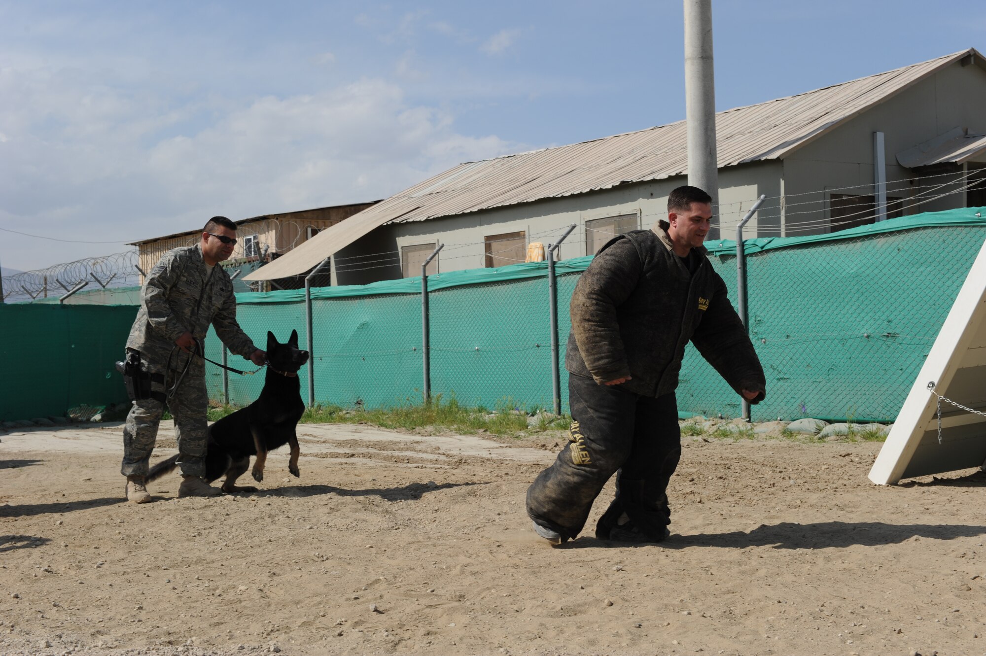 U.S. Air Force Staff Sgt. Jonathan Hartwell, 455th Expeditionary Security Forces Squadron prepares to release his military working dog, Dagi, as U.S. Army Chief Warrant Officer Tom Flores, 82nd Airborne Division, starts to run. This was one of nine challenges during The Amazing Race Afghanistan sponsored by the 455th Expeditionary Force Support Squadron morale, welfare and recreation office, March 28, 2010. CW4 Flores is from Brooklyn Park, Minn. and Sergeant Hartwell and Dagi are deployed from MacDill Air Force Base, Fla. Sergeant Hartwell is a New Orleans, La. native. (U.S. Air Force Photo by/ Staff Sgt. Richard Williams)