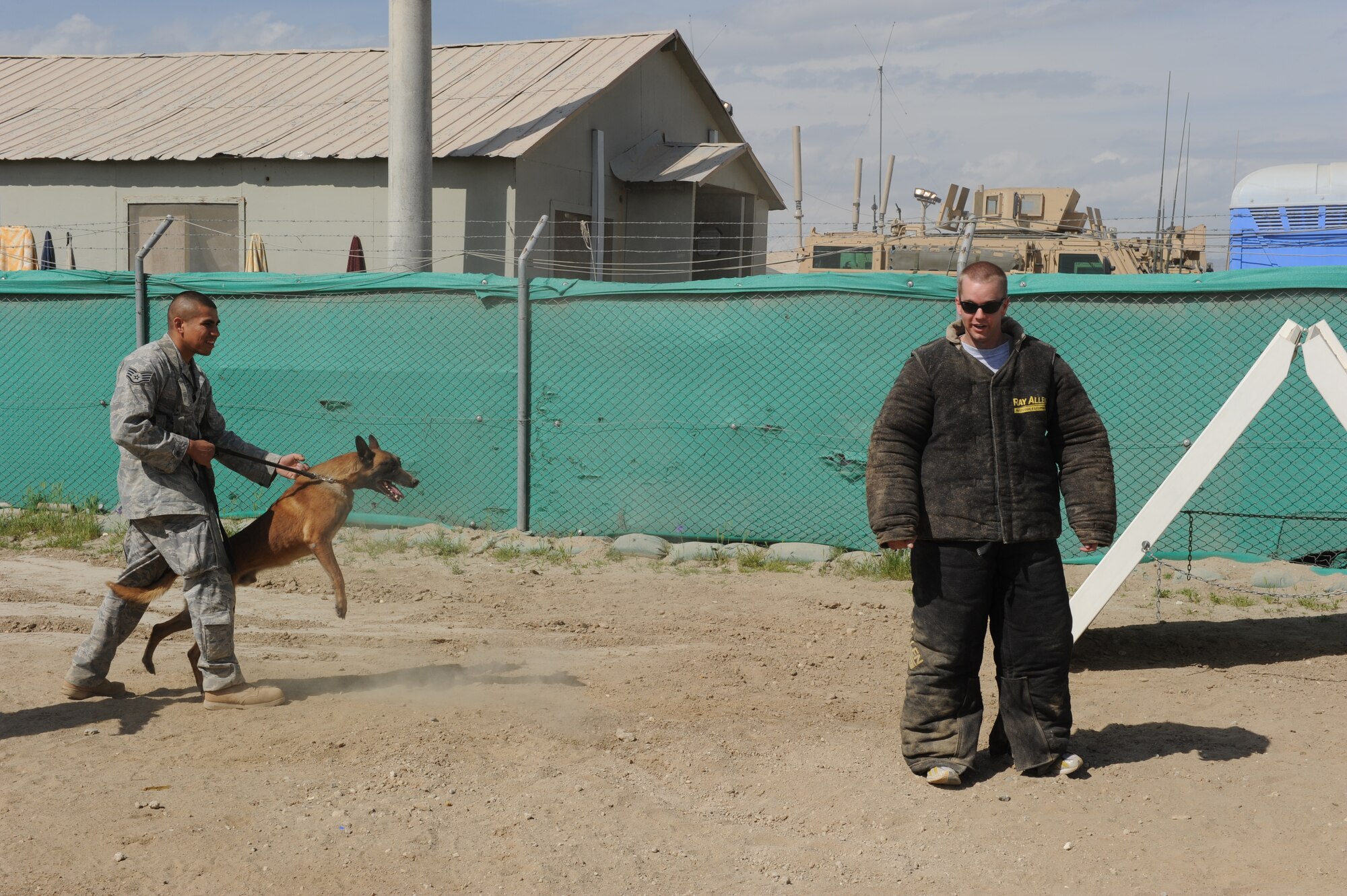 U.S. Air Force Staff Sgt. Michael Gwin, 455th Expeditionary Security Forces Squadron, restrains his military working dog, Rex, as U.S. Air Force Capt. Jonathan Frank, Task Force Protector, prepares to be captured. This was one of nine challenges during The Amazing Race Afghanistan sponsored by the 455th Expeditionary Force Support Squadron morale, welfare and recreation office, March 28, 2010. Captain Frank is deployed from Charleston Air Force Base, S.C. and is a native of Lynchburg, Ohio. Sergeant Gwin and Rex are deployed from Dyess AFB, Texas and Sergeant Gwin is from Rapid City, S.D. (U.S. Air Force Photo by/ Staff Sgt. Richard Williams)