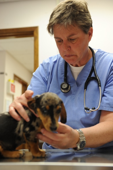 DYESS AIR FORCE BASE, Texas – Dr. Denise Ruark, Dyess Vet Clinic veterinarian, gives Dallas his first set of vaccinations here, March 29. The Dyess Vet Clinic is open Monday through Thursday from 9 a.m. to 4 p.m. and Fridays from 9 a.m. to 2p.m. (U.S. Air Force photo/ Airman 1st Class Brittney Prescott)