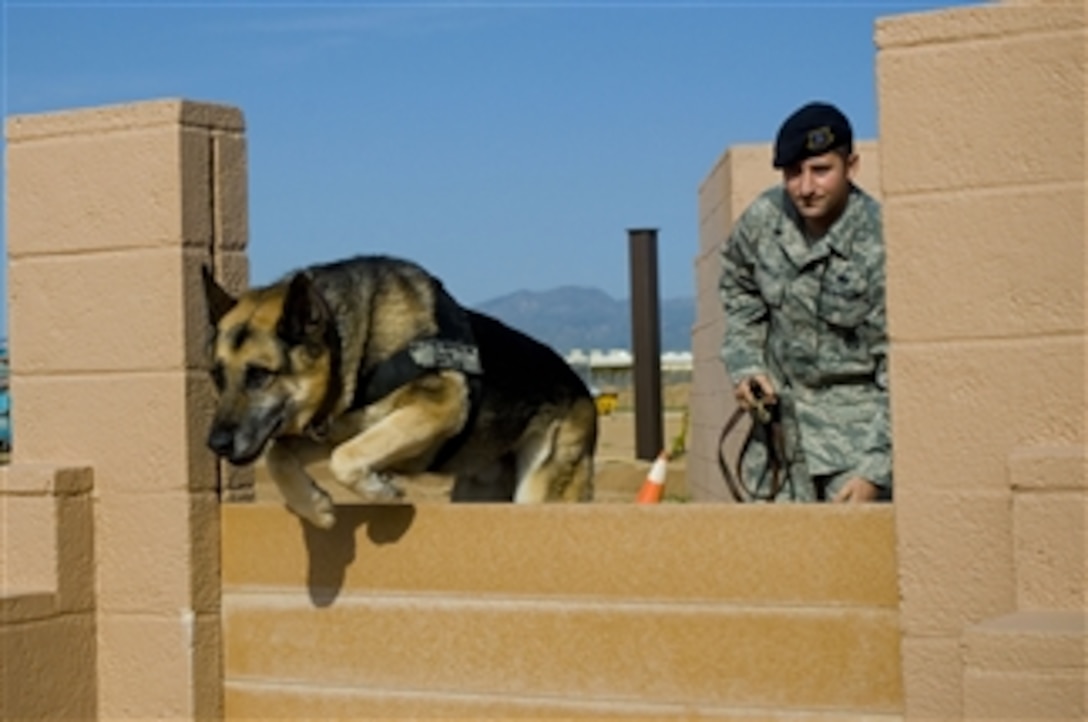 U.S. Air Force Staff Sgt. John Pillarella, a military working dog kennel master with the 56th Security Forces Squadron, watches Jampy leap over a barrier on the obstacle course at the military working dog kennels at Luke Air Force Base, Ariz., on March 25, 2010.  