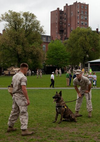 Sgt. Aaron Smith, the crew chief of a CH-53E Super Stallion Helicopter piloted and crewed by Marines with Marine Heavy Helicopter Squadron 461 lands, helps guides the helicopter pilots while they bring the aircraft to a halt on Boston Common May 3, 2010, the first day of Marine Week Boston. The squadron is based out of Marine Corps Air Station New River, N.C., and have recently returned from a deployment with the 22nd Marine Expeditionary Unit in support of the Haiti relief efforts in February. The helicopter, along with sister rotor aircraft from other Marine Corps air stations in the Jacksonville, N.C., area, will be on display at Boston Common during Marine Week.