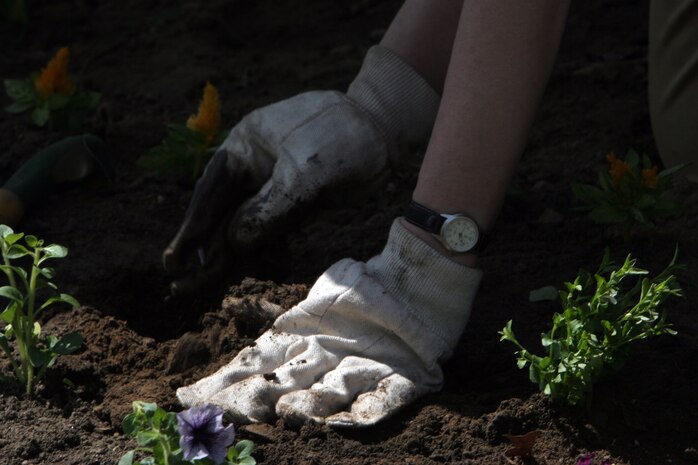 A volunteer plants flowers in a garden bed during a combined volunteer event at Chestnut Hill Reservation in support of Marine Week Boston May 3. Marines from 3rd Battalion, 24th Marines, Lima Company, from Johnson City, Tenn., teamed up with volunteers from the community to clean up the reservation surrounding the reservoir.