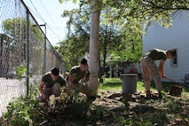 Lance Cpl. James Reese and Lance Cpl. Andrew Mayer, both St. Louis natives serving with Headquarters and Support Company, 3rd Battalion, 24th Marine Regiment, use some might while pulling out tree and bush roots from the yard of a house on Ashton Street in South Boston May 5, 2010. The Marines were providing volunteer service in support of Habitat for Humanity in the Greater Boston area as part of Marine Week Boston.