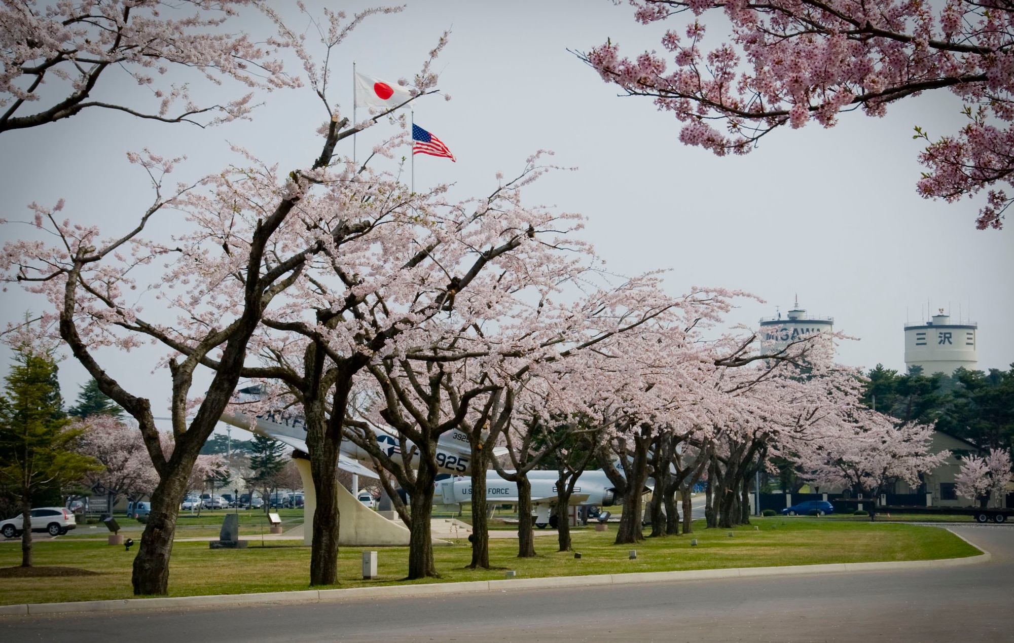 MISAWA AIR BASE, Japan -- A line of Cherry blossom trees wrap around Risner Circle, May 5. Cherry Blossoms bloom and usually fall within a week just before the leaves come out. (U.S. Air Force photo/Staff Sergeant Araceli Alarcon)