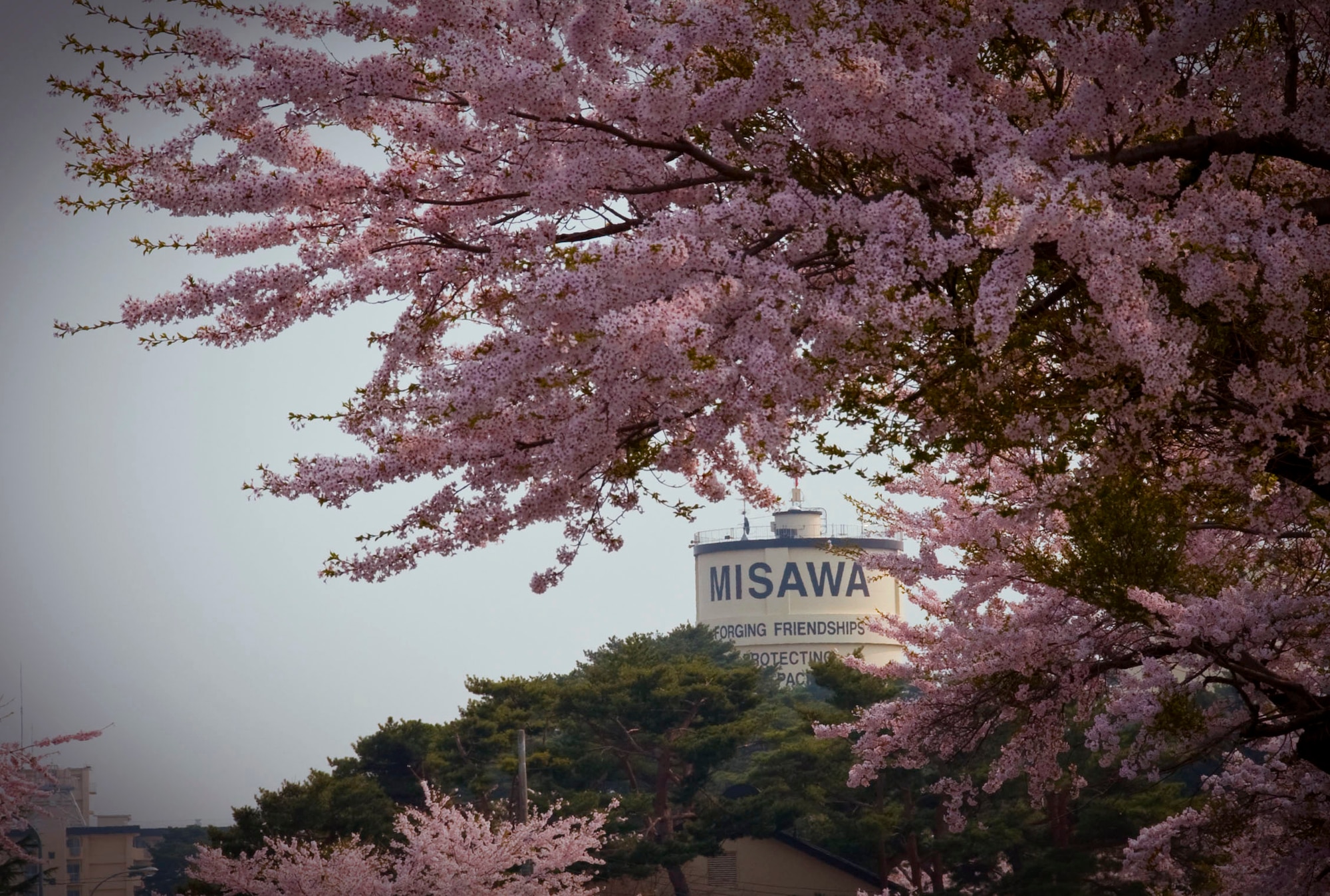 MISAWA AIR BASE, Japan -- The Misawa Air Base water tower stands at a distance over looking the cherry blossoms near Risner Circle, May 5. In the Japanese culture cherry blossoms are know as an omen of good fortune, an emblem of love and the coming spring season. (U.S. Air Force photo/Staff Sergeant Araceli Alarcon)