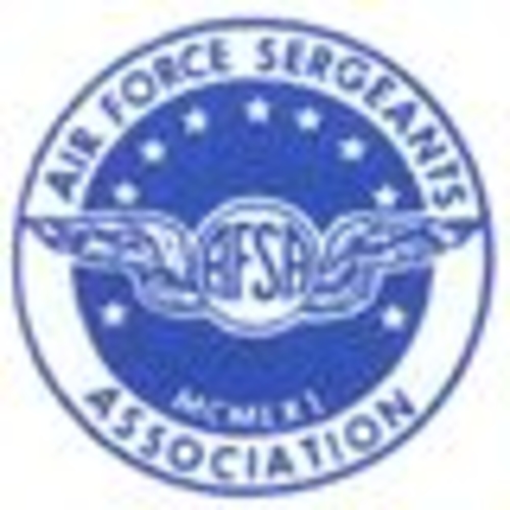 Air Force Sergeants Association > Royal Air Force Lakenheath > Display