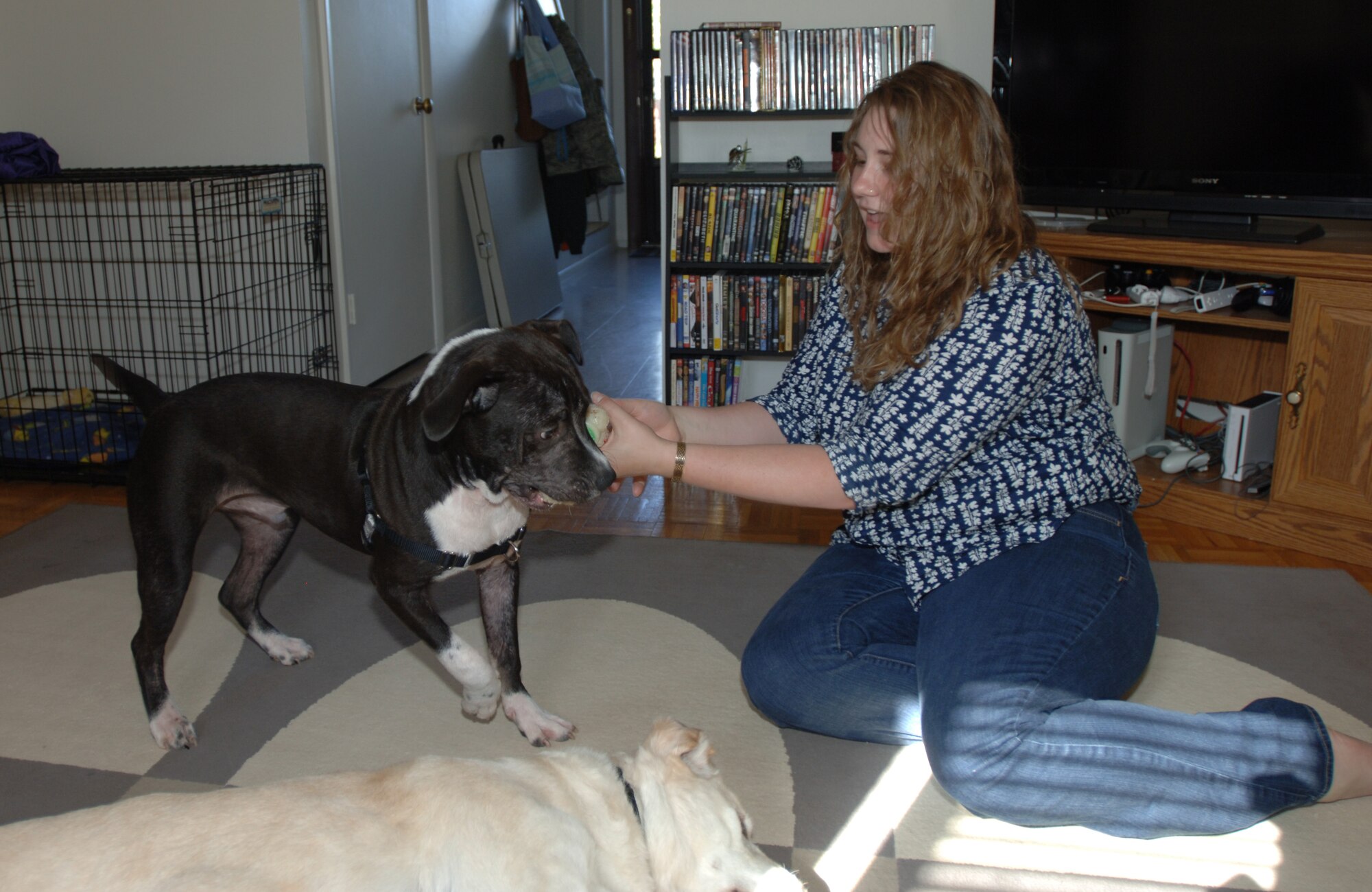 LANGLEY AIR FORCE BASE, Va. -- Athena Holter-Mehren plays with Dexter, her adopted foster dog, at her home April 29. Athena, wife of Airman 1st Class Johann Holter-Mehren, an 82d Communications Squadron systems administrator, dedicates her time to caring for foster animals, raising her children with an emphasis on education and volunteering in the community. (U.S. Air Force photo/Airman 1st Class Jason J. Brown)