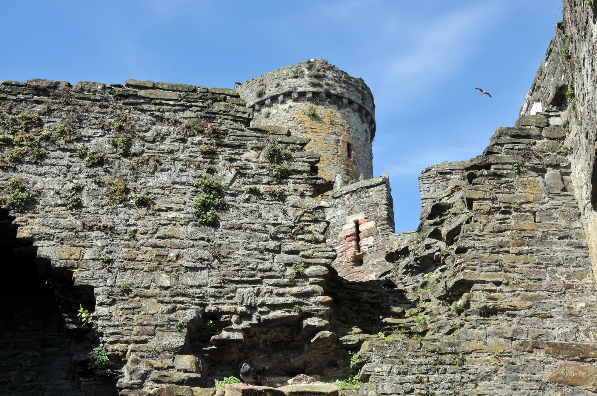 SNOWDONIA, Wales – Though some of Conwy Castle’s (Wales) structure has suffered damage over the course of the past 800 years, it is still easy to imagine the fortress in its original majestic state. The castle is near the Snowdonia National Park, roughly a five-hour drive from RAF Mildenhall. (U.S. Air Force photo/ Tech. Sgt. Kevin Wallace)