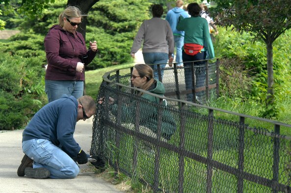 OFFUTT AIR FORCE BASE, Neb. -- Staff Sgt. Sheryl Piko (standing) and Tech. Sgt. Lynn Montag (kneeling right), both from the 55th Aircraft Maintenance Squadron, work with zoo keeper Lacey Rogers (kneeling left), to repair damaged fence linkage near the pachyderm exhibits of the Henry Doorly Zoo in Omaha, Neb., May 8 during the zoo's annual clean up day. The Airmen were part of a large group from Offutt who volunteered to clean the zoo. U.S. Air Force photo by Delanie Stafford