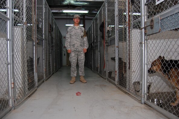 Tech. Sgt. David Reavis, 386th Expeditionary Security Forces Squadron kennel master, is an Aberdeen, Md. native, deployed from Seymour Johnson Air Force Base, N.C. (U.S. Air Force photo by Staff Sgt. Lakisha A. Croley/Released)