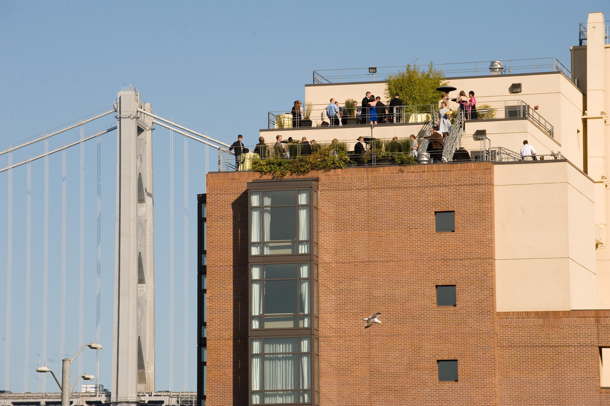 A wedding reception followed the marriage of Vanessa Muza Teskey and Capt. Mike Hawkins on the rooftop of the Hotel Vitale on San Francisco's waterfront May 14, 2010. The couple won the San Francisco Dream Wedding Giveaway with internet viewer votes. Mrs. Hawkins has been diagnosed with stage IV Hodgkin's lymphoma. Vendors donated $100,000 of goods and services to the couple's wedding day.  (U.S. Air Force photo illustration/Lance Cheung)