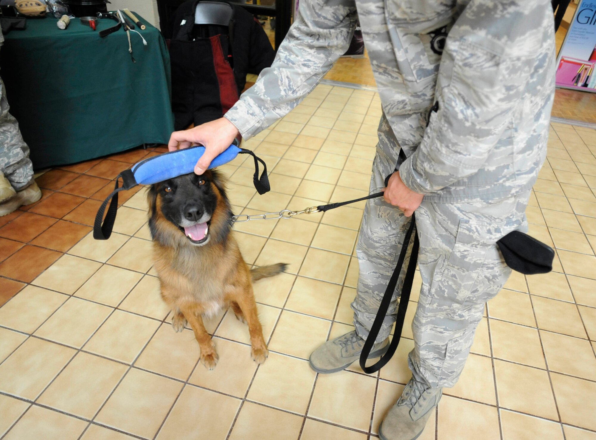 Suk, a military working dog, waits for commands from his handler May 12.  Cannon Air Force Base Security Forces Squadron set a display at North Plains Mall in Clovis, NM.  The display was one of the events throughout National Police Week, which took place May 9-15. (U.S. Air Force Photo by Senior Airman Evelyn Chavez)