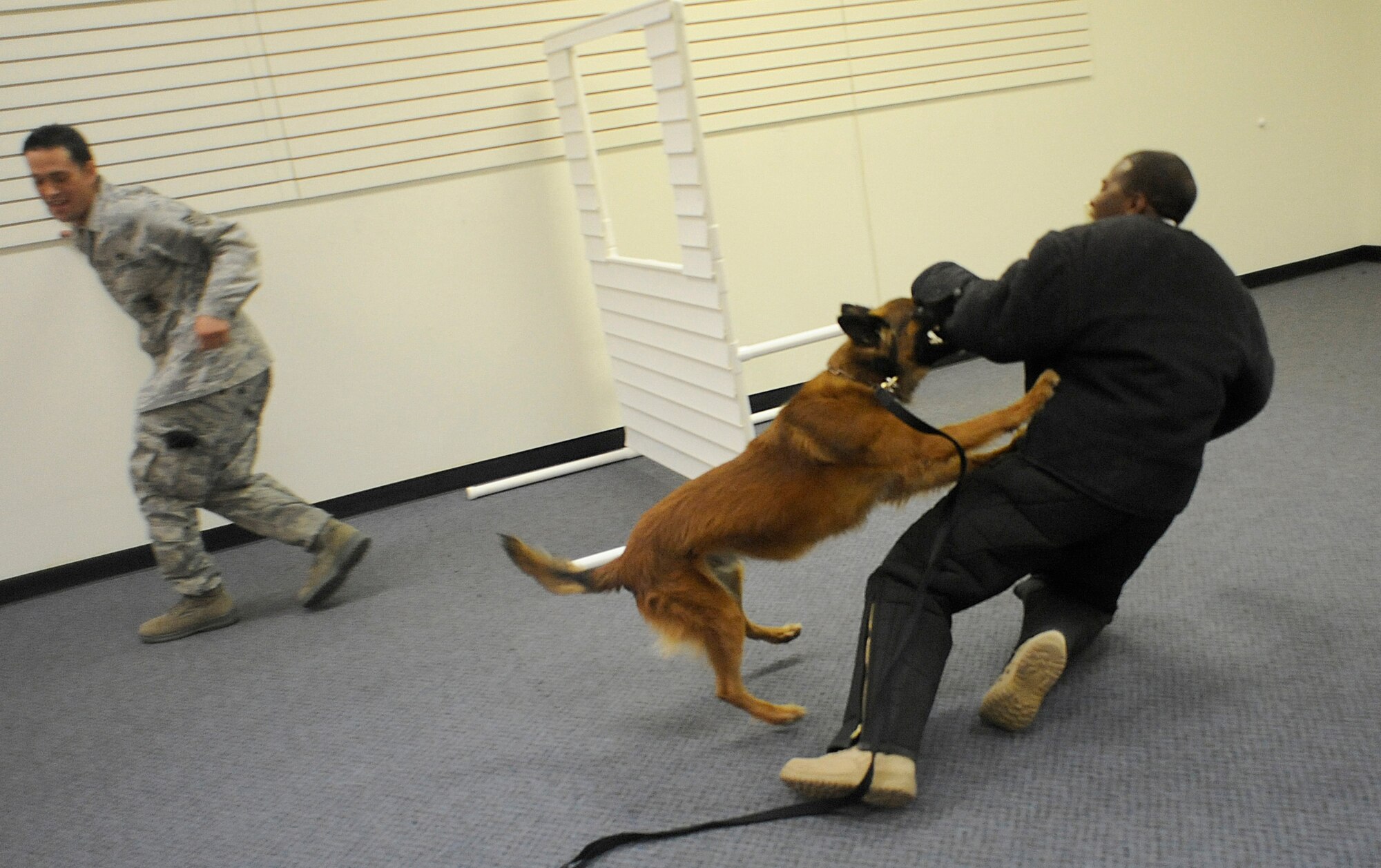 Staff Sgt. Brandon Ouderkirk, 27th Special Operations Security Forces Squadron, walks away as Staff Sgt. Dontarie Russ, also 27 SOSFS, is bitten by a military working dog May 12 at a demonstration at North Plains Mall in Clovis, N.M.  As part of National Police Week, May 9-15, members of the K-9 unit demonstrated how military working dogs perform their duties.  (U.S. Air Force Photo by Senior Airman Evelyn Chavez)